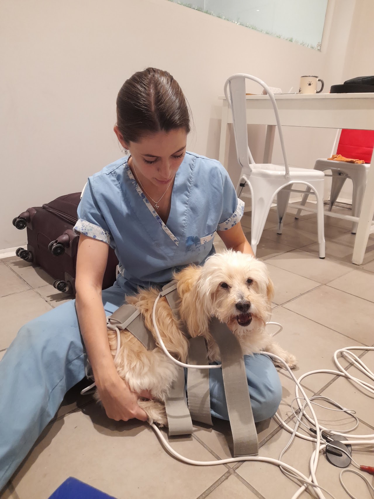 Fachada y recepción de Malaika Veterinaria en Vicente López